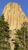 PICTURES/Devils Tower - Wyoming/t_Tower7.JPG